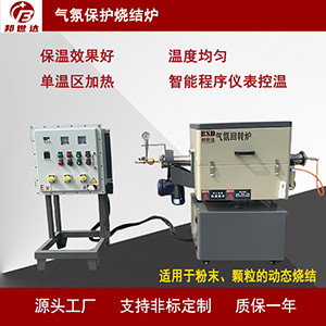 1719909522298496.jpg 300主圖.jpg